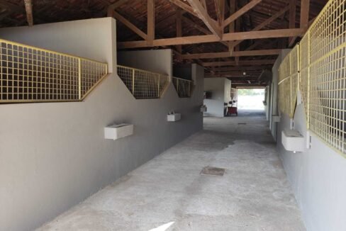 WhatsApp Image 2025-11-12 at 13.45.28 (2)