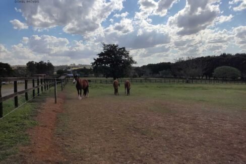 WhatsApp Image 2025-11-12 at 13.45.29 (1)