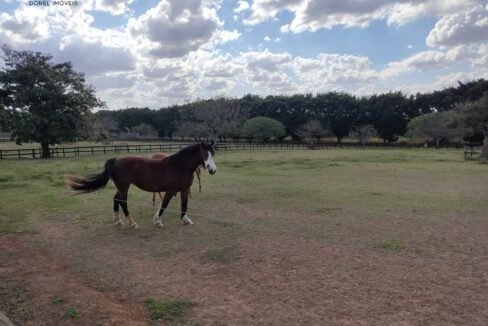 WhatsApp Image 2025-11-12 at 13.45.29 (2)