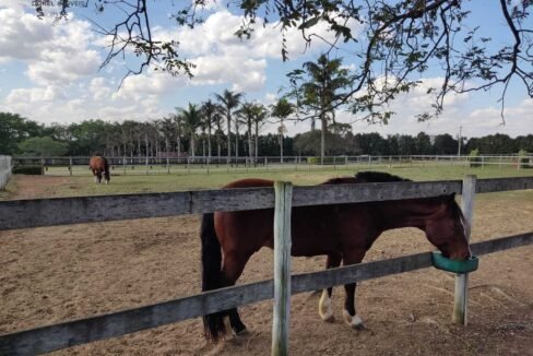 WhatsApp Image 2025-11-12 at 13.45.29