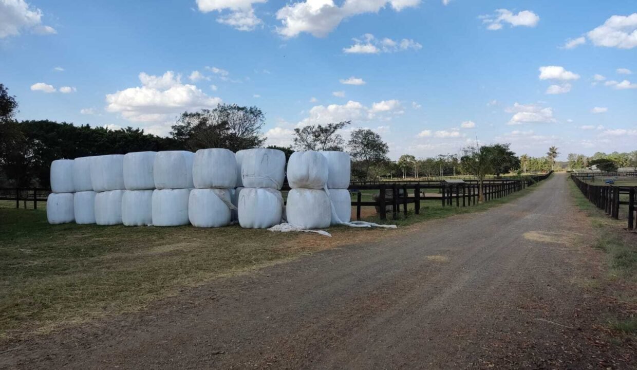 WhatsApp Image 2025-11-12 at 13.45.30 (1)