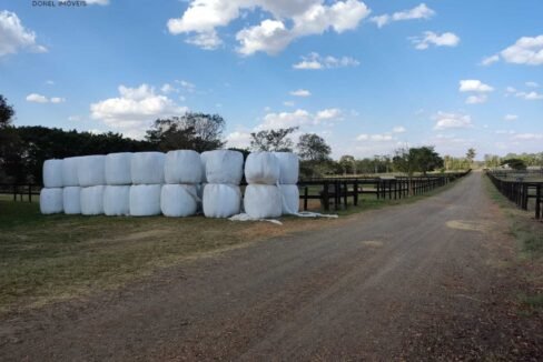 WhatsApp Image 2025-11-12 at 13.45.30 (1)