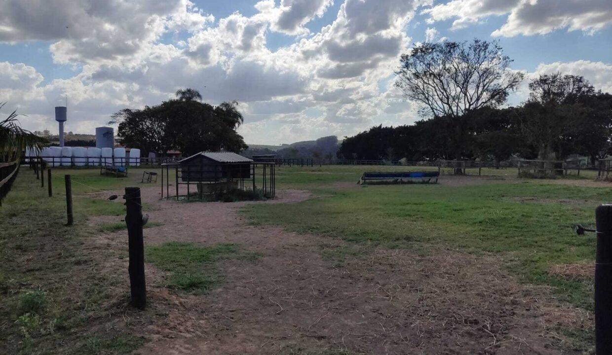 WhatsApp Image 2025-11-12 at 13.45.30