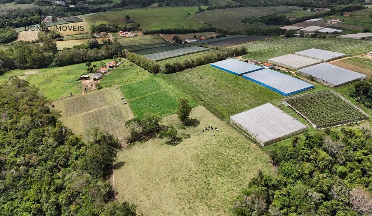 WhatsApp Image 2025-11-12 at 13.45.53