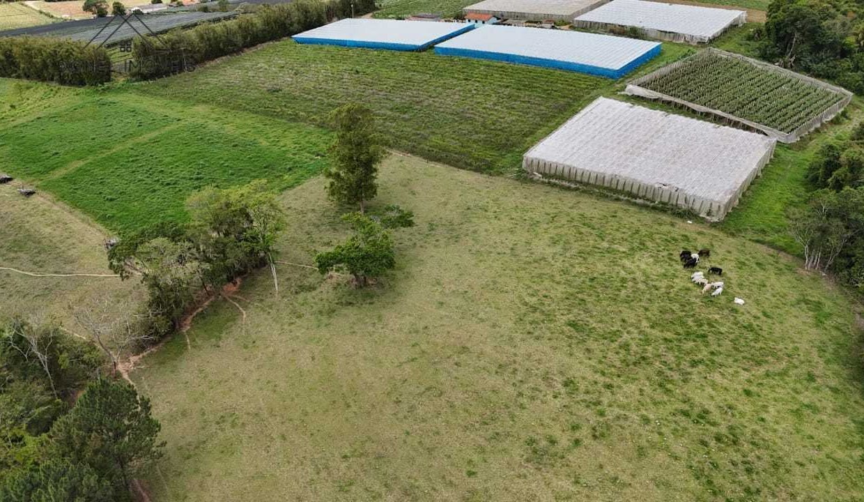 WhatsApp Image 2025-11-12 at 13.45.54 (2)