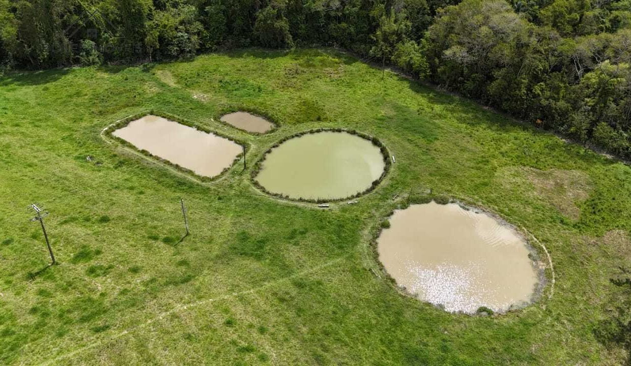 WhatsApp Image 2025-11-12 at 13.45.56 (1)