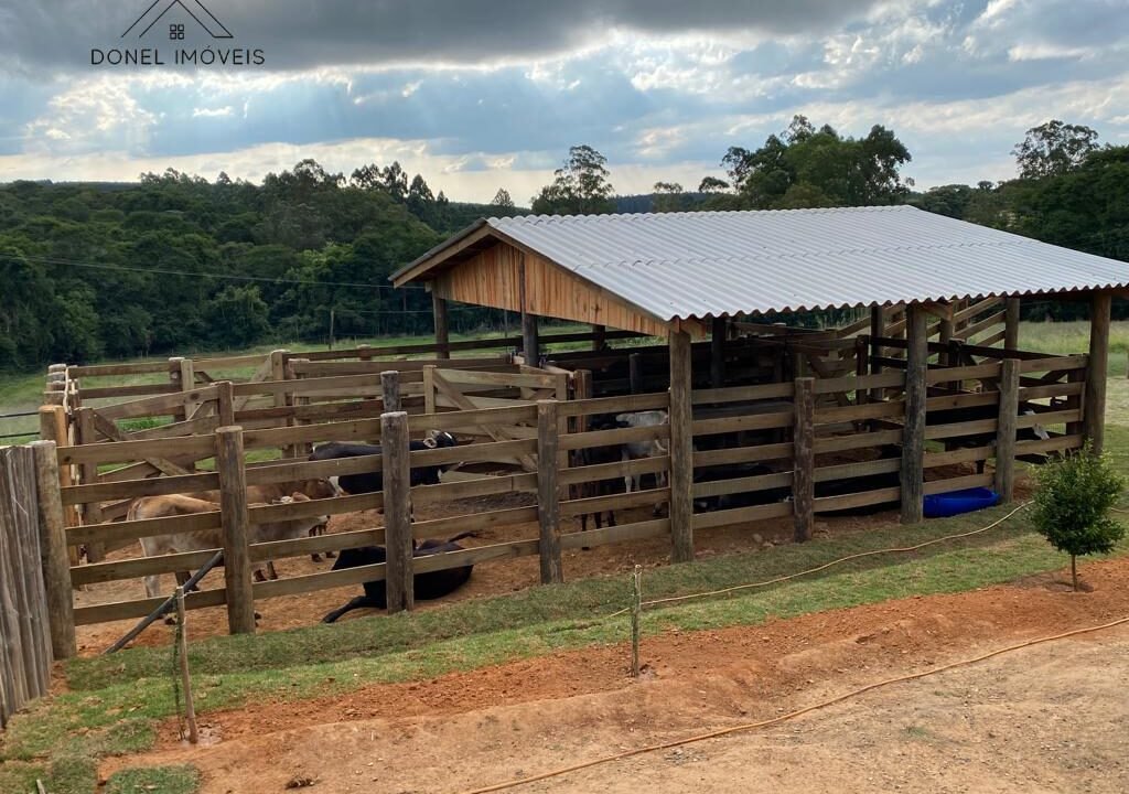 WhatsApp Image 2025-11-12 at 13.46.00 (3)