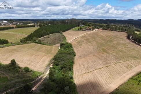 WhatsApp Image 2025-12-03 at 09.52.26