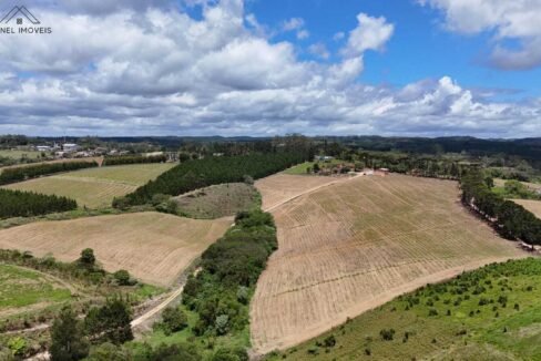 WhatsApp Image 2025-12-03 at 09.52.29