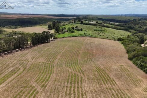 WhatsApp Image 2025-12-03 at 09.52.30 (1)