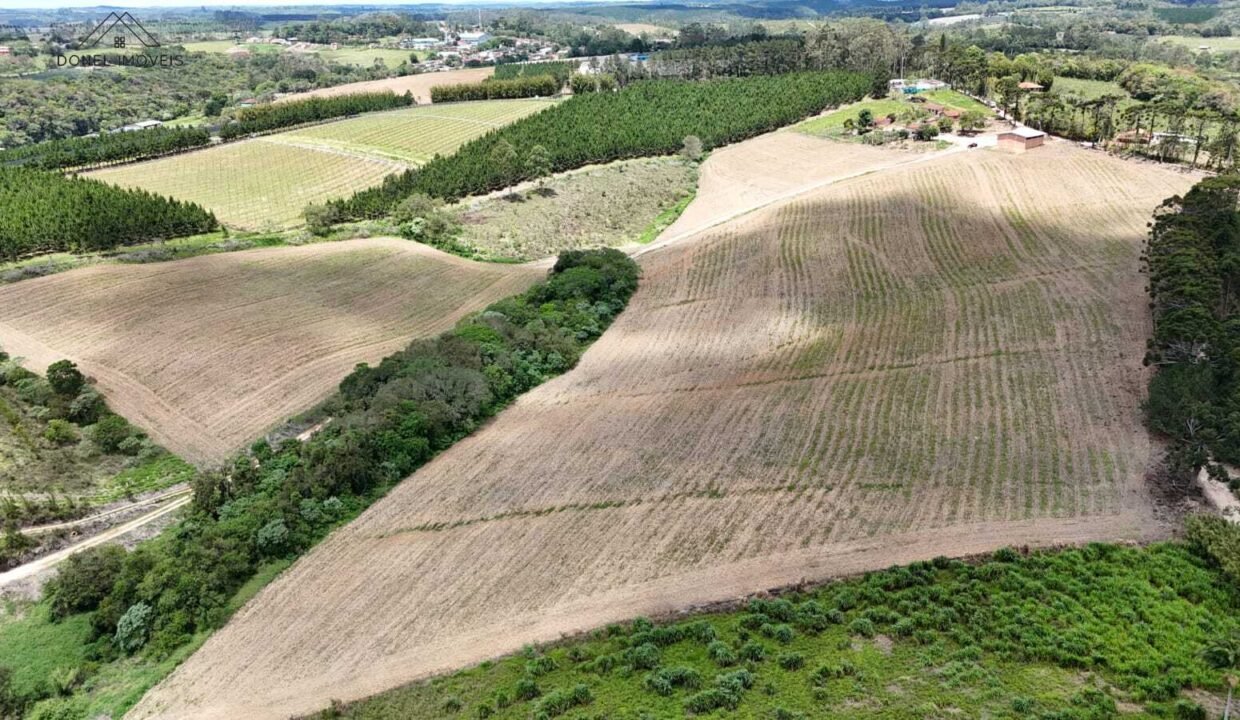 WhatsApp Image 2025-12-03 at 09.52.31