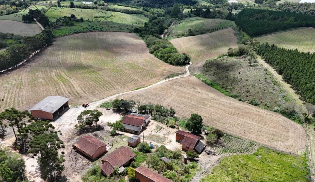 WhatsApp Image 2025-12-03 at 09.52.32 (1)