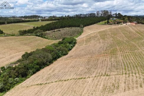 WhatsApp Image 2025-12-03 at 09.52.32