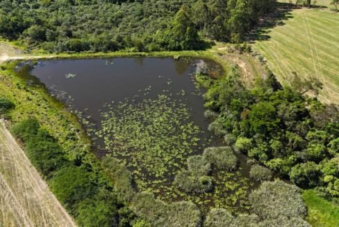 WhatsApp Image 2025-12-03 at 09.52.37