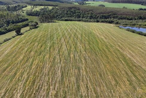 WhatsApp Image 2025-12-03 at 09.52.42 (2)