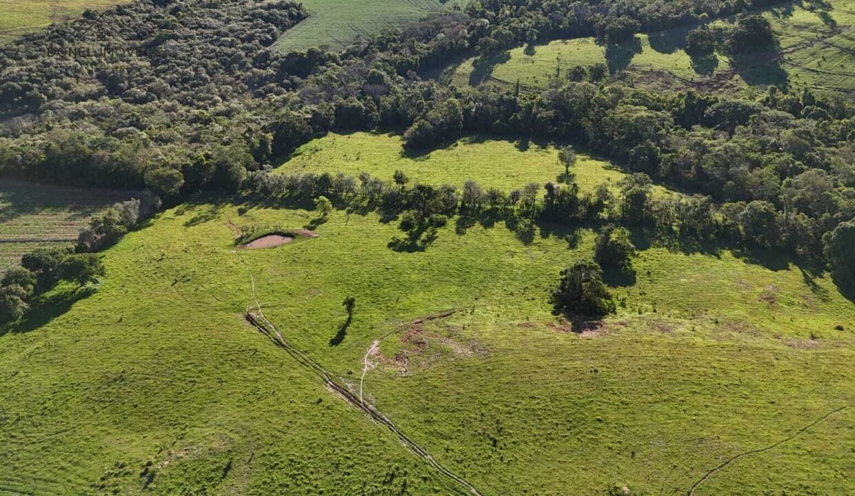 WhatsApp Image 2025-12-03 at 09.52.44