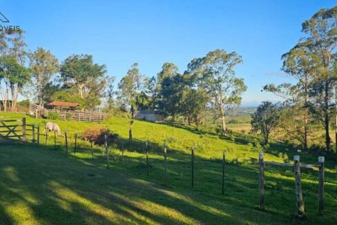 WhatsApp Image 2025-12-03 at 09.52.46