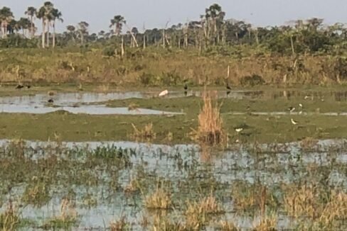 WhatsApp Image 2025-12-03 at 22.52.22 (1)