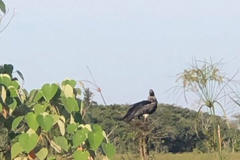 WhatsApp Image 2025-12-03 at 22.52.22 (3)