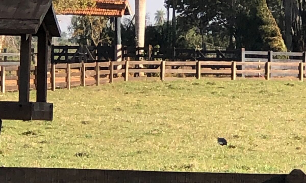 WhatsApp Image 2025-12-03 at 22.52.23