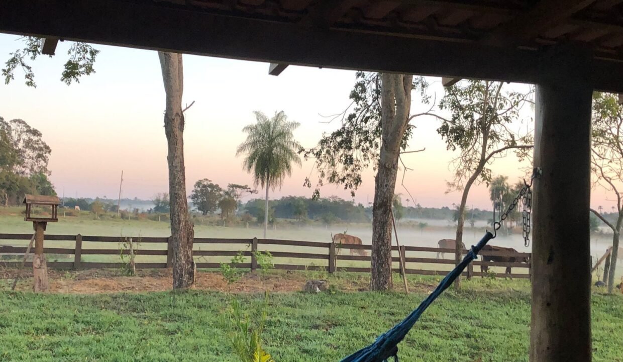 WhatsApp Image 2025-12-03 at 22.52.24