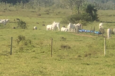 WhatsApp Image 2025-12-03 at 22.52.25 (1)