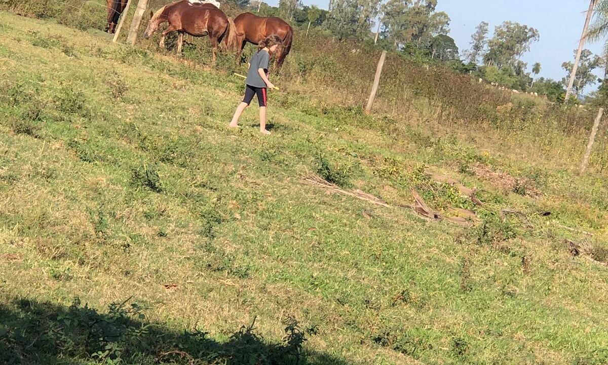 WhatsApp Image 2025-12-03 at 22.52.25