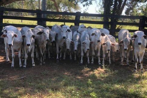 WhatsApp Image 2025-12-03 at 22.52.25 (3)