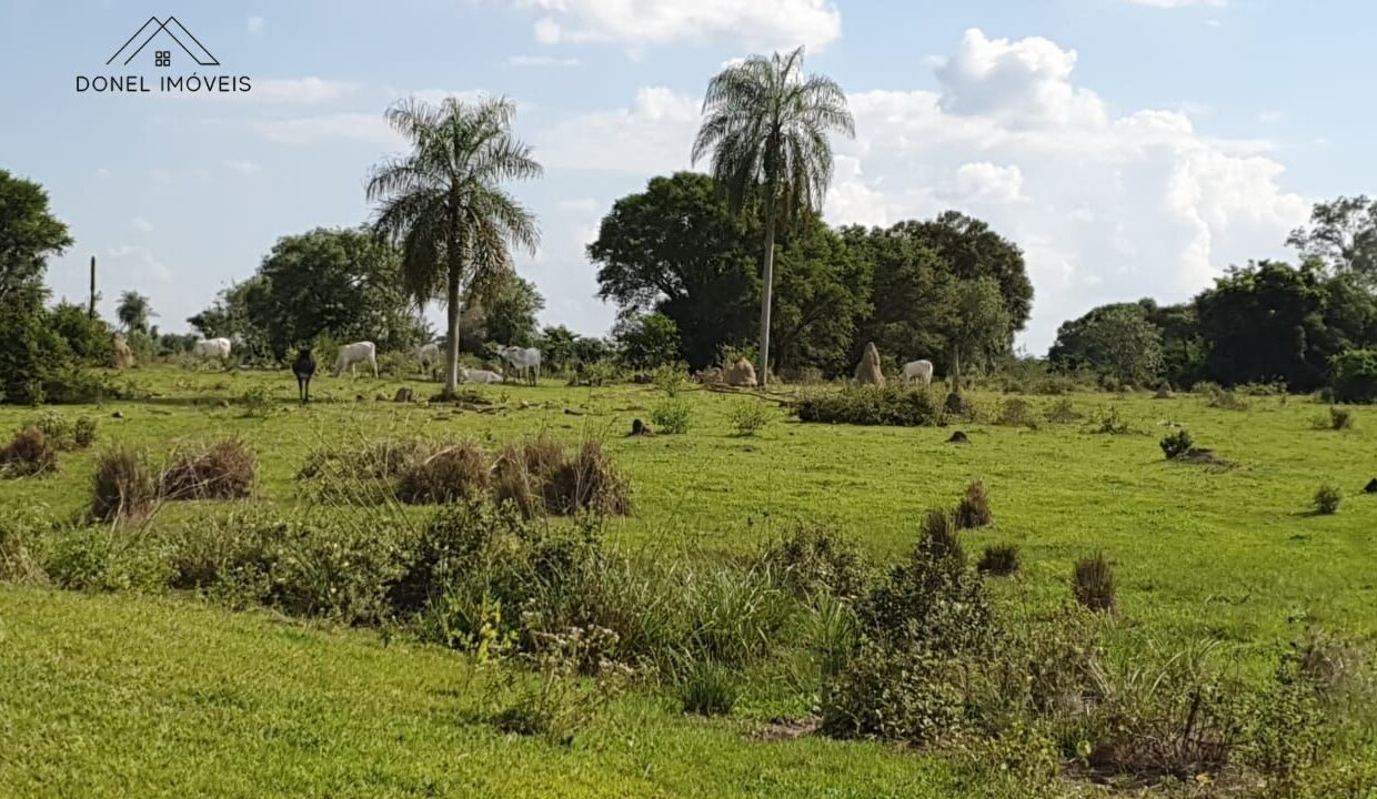 WhatsApp Image 2025-12-03 at 22.52.26 (2)