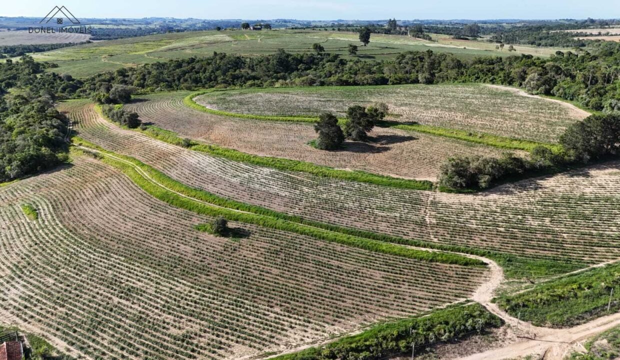 WhatsApp Image 2025-12-04 at 10.32.29 (1)