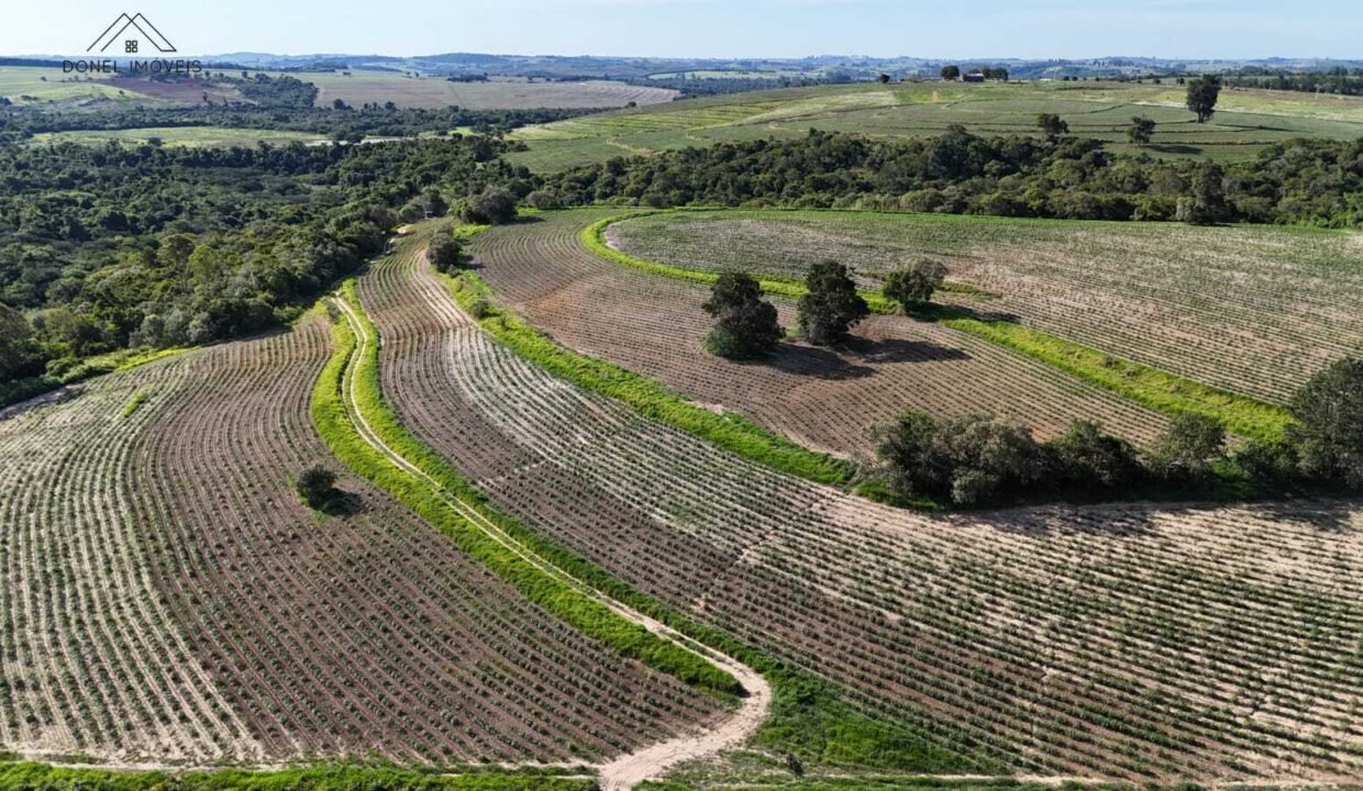 WhatsApp Image 2025-12-04 at 10.32.31 (1)