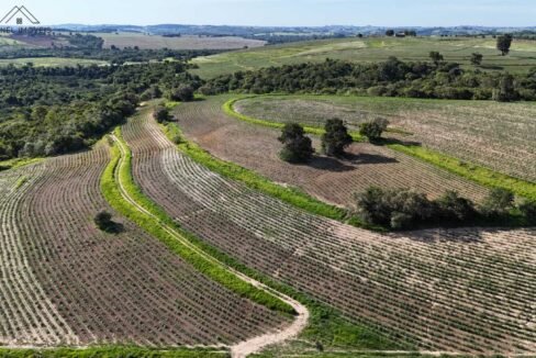 WhatsApp Image 2025-12-04 at 10.32.31 (1)