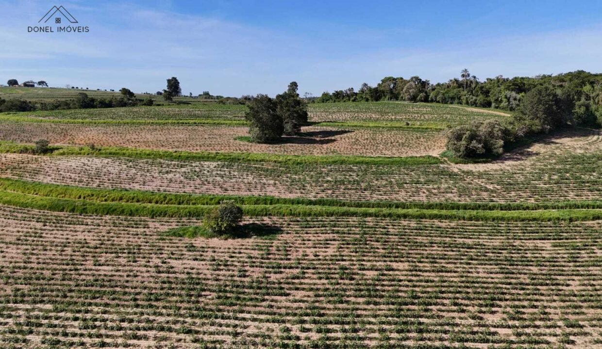 WhatsApp Image 2025-12-04 at 10.32.32 (1)