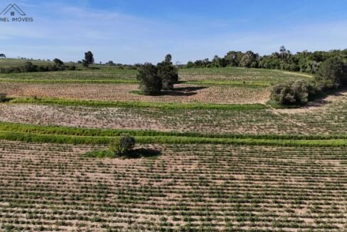 WhatsApp Image 2025-12-04 at 10.32.32 (1)