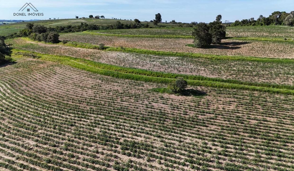 WhatsApp Image 2025-12-04 at 10.32.32