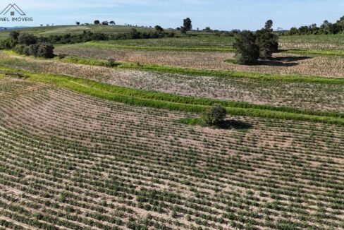 WhatsApp Image 2025-12-04 at 10.32.32