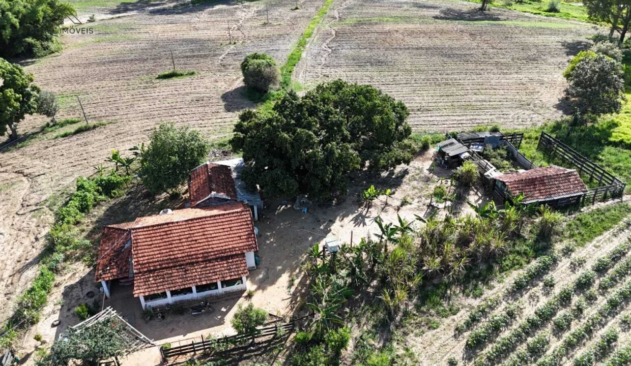 WhatsApp Image 2025-12-04 at 10.32.33 (2)