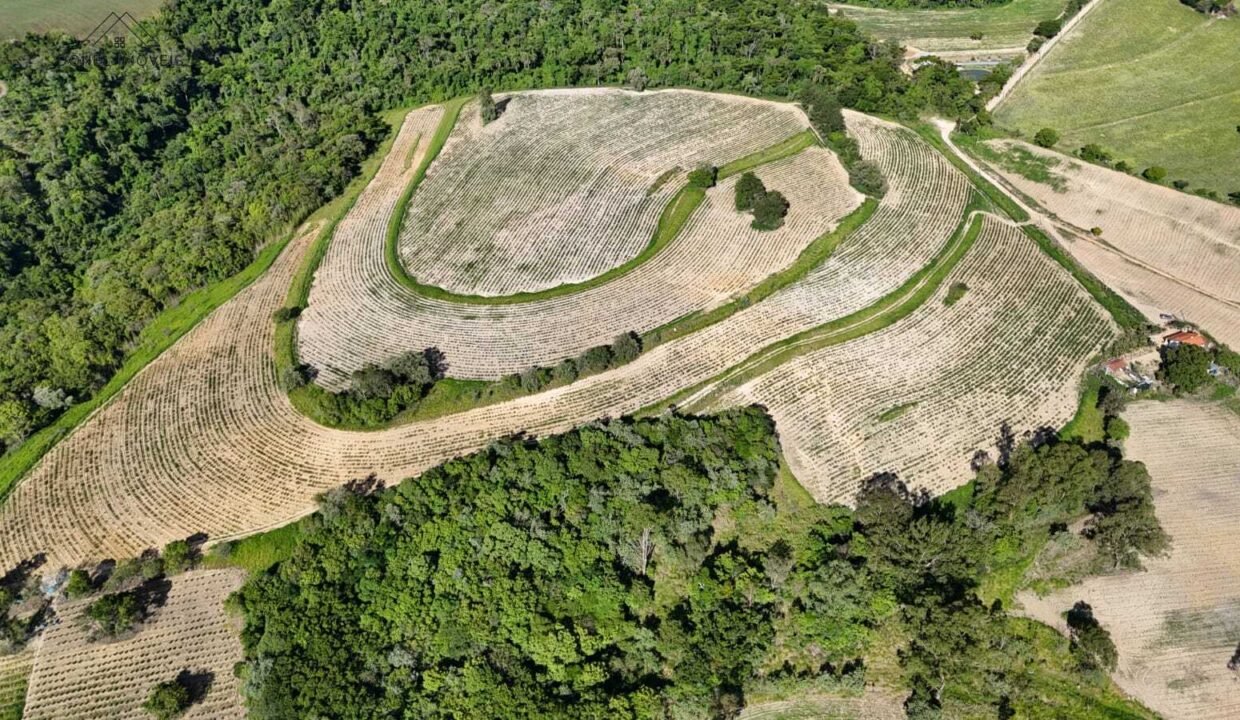 WhatsApp Image 2025-12-04 at 10.32.34 (1)