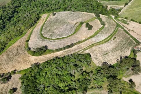 WhatsApp Image 2025-12-04 at 10.32.34 (1)