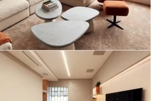 WhatsApp Image 2025-12-05 at 16.59.44