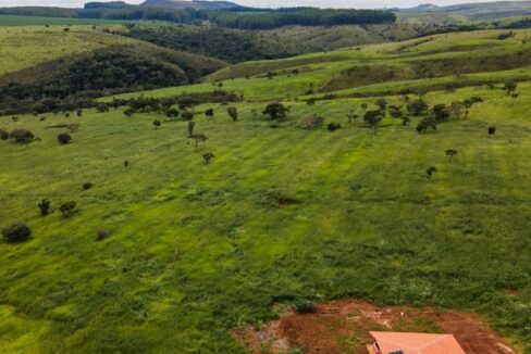 WhatsApp Image 2025-12-09 at 18.38.51