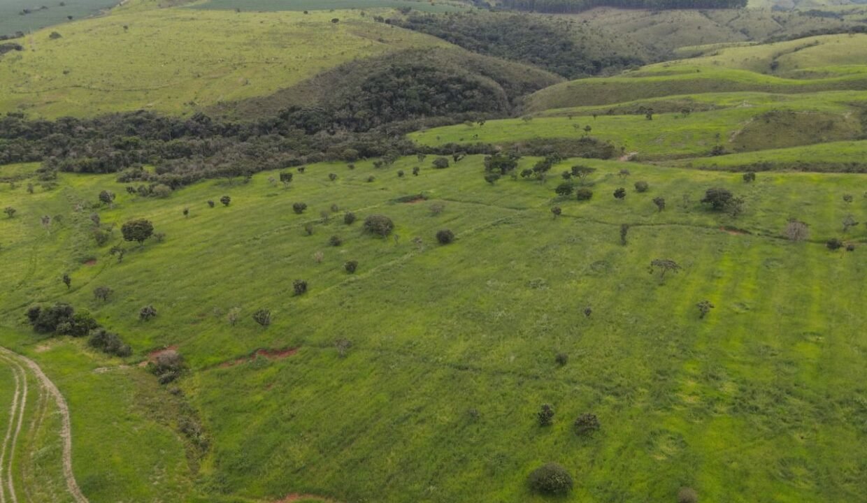 WhatsApp Image 2025-12-09 at 18.38.52