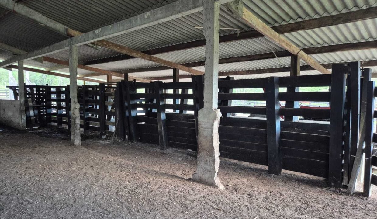 WhatsApp Image 2025-12-11 at 10.23.46