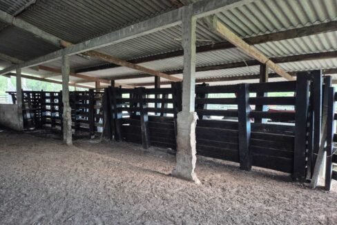 WhatsApp Image 2025-12-11 at 10.23.46