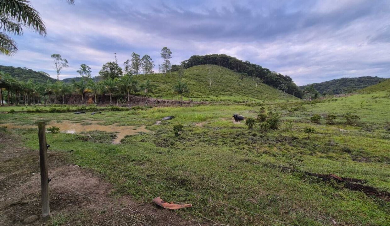 WhatsApp Image 2025-12-11 at 10.23.47