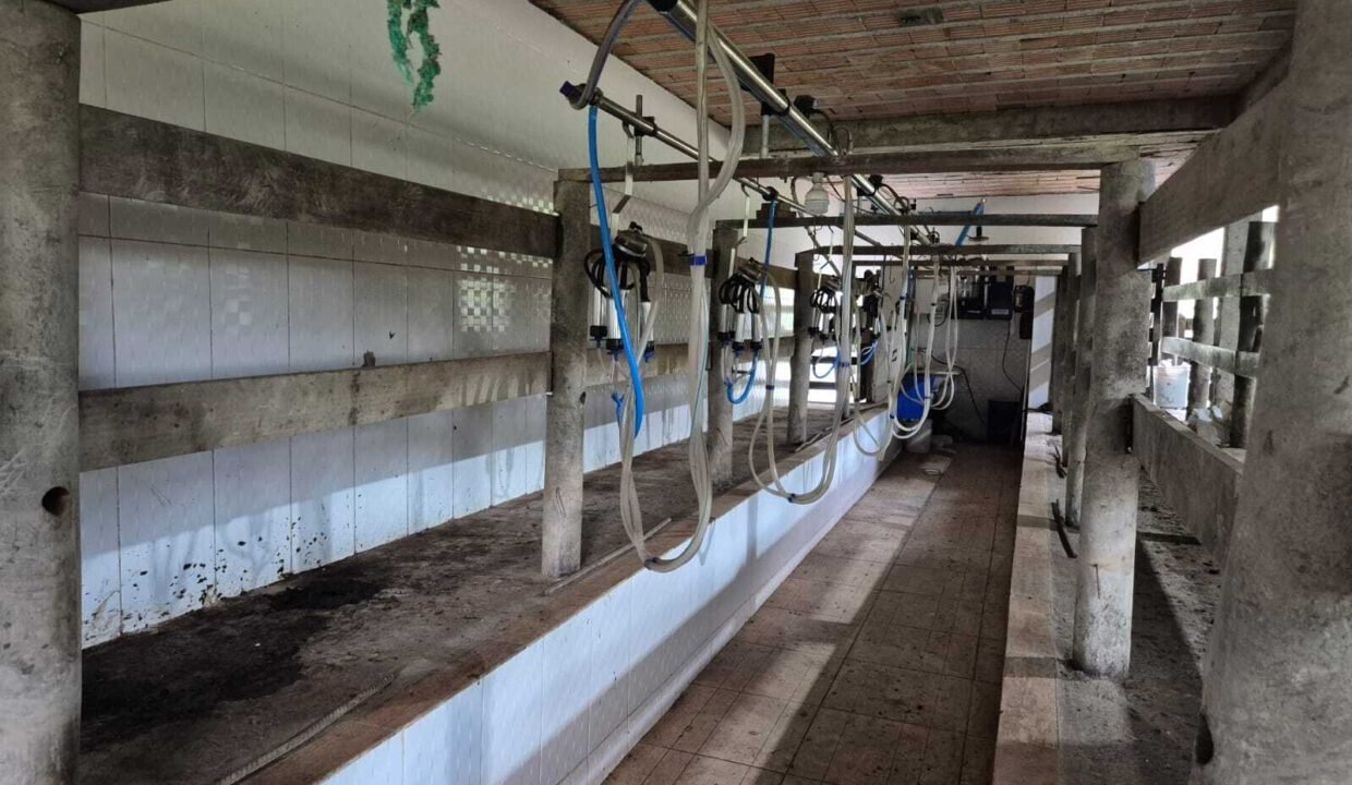 WhatsApp Image 2025-12-11 at 10.23.47 (2)