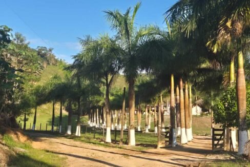 WhatsApp Image 2025-12-11 at 10.23.48 (1)