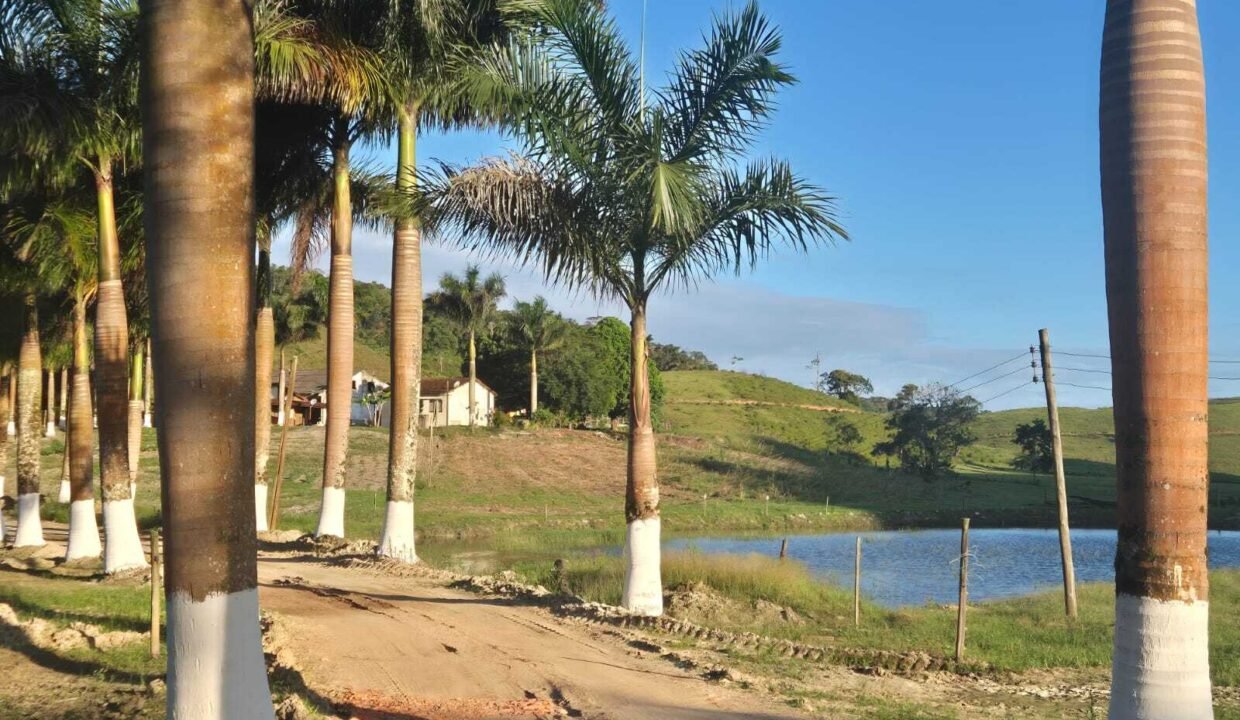 WhatsApp Image 2025-12-11 at 10.23.49 (1)