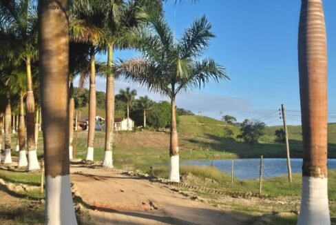 WhatsApp Image 2025-12-11 at 10.23.49 (1)