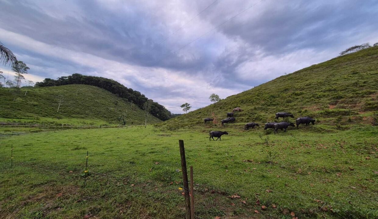 WhatsApp Image 2025-12-11 at 10.23.49